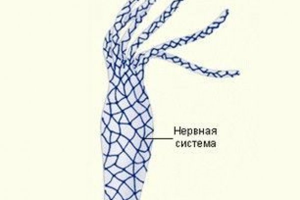 Kraken что это